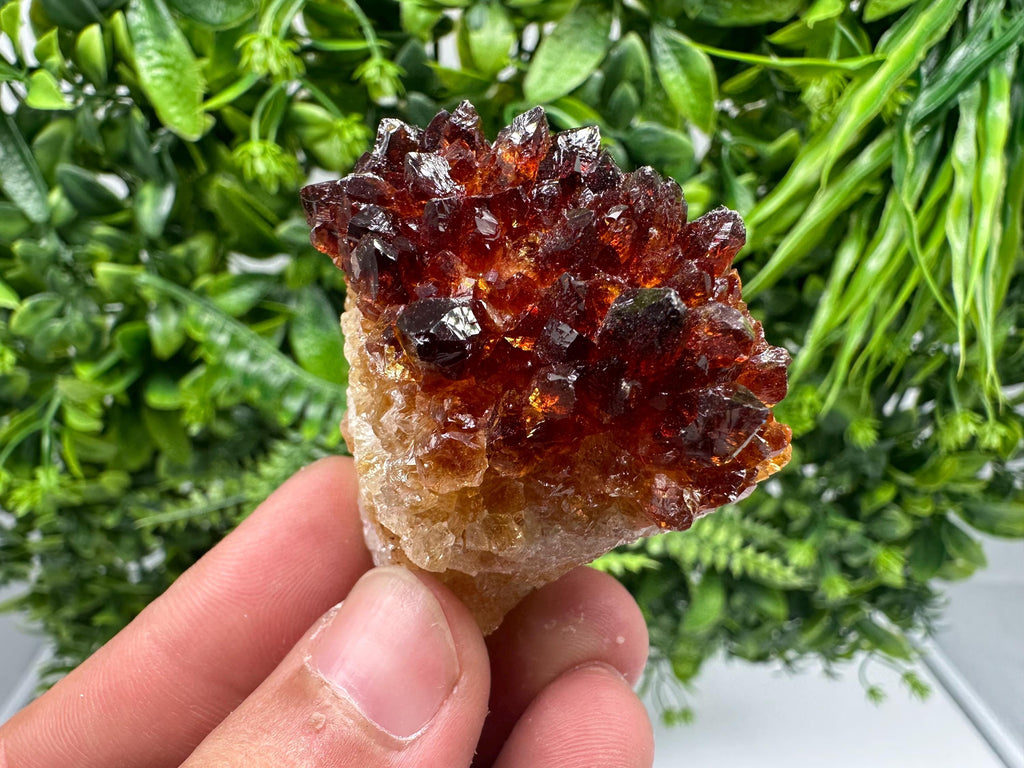 Citrine Crystal Cluster with Hematite Inclusions: Natural Phantom Mineral