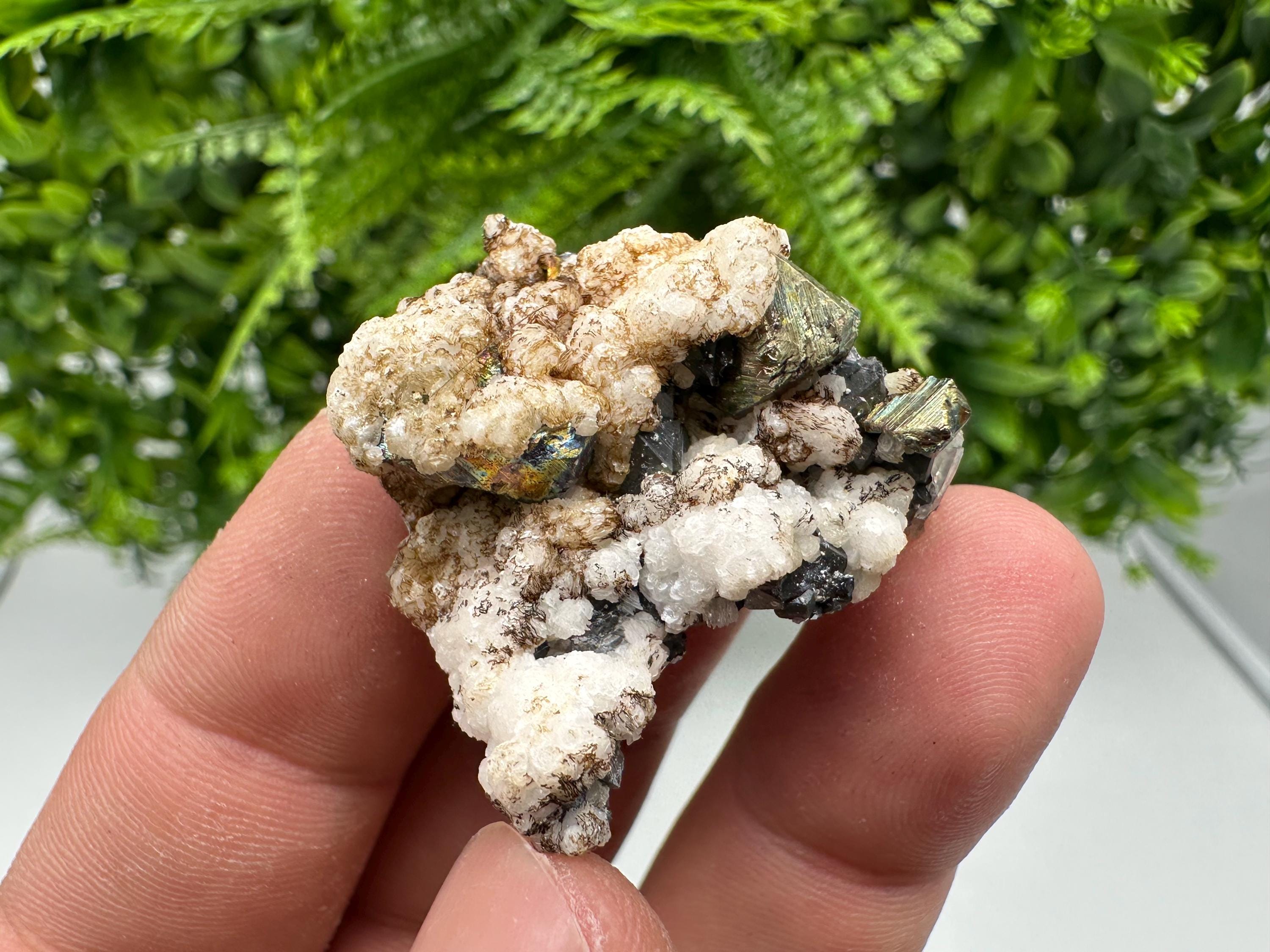 Calcite on Spinel Galena, Krushev dol Mine, Bulgaria
