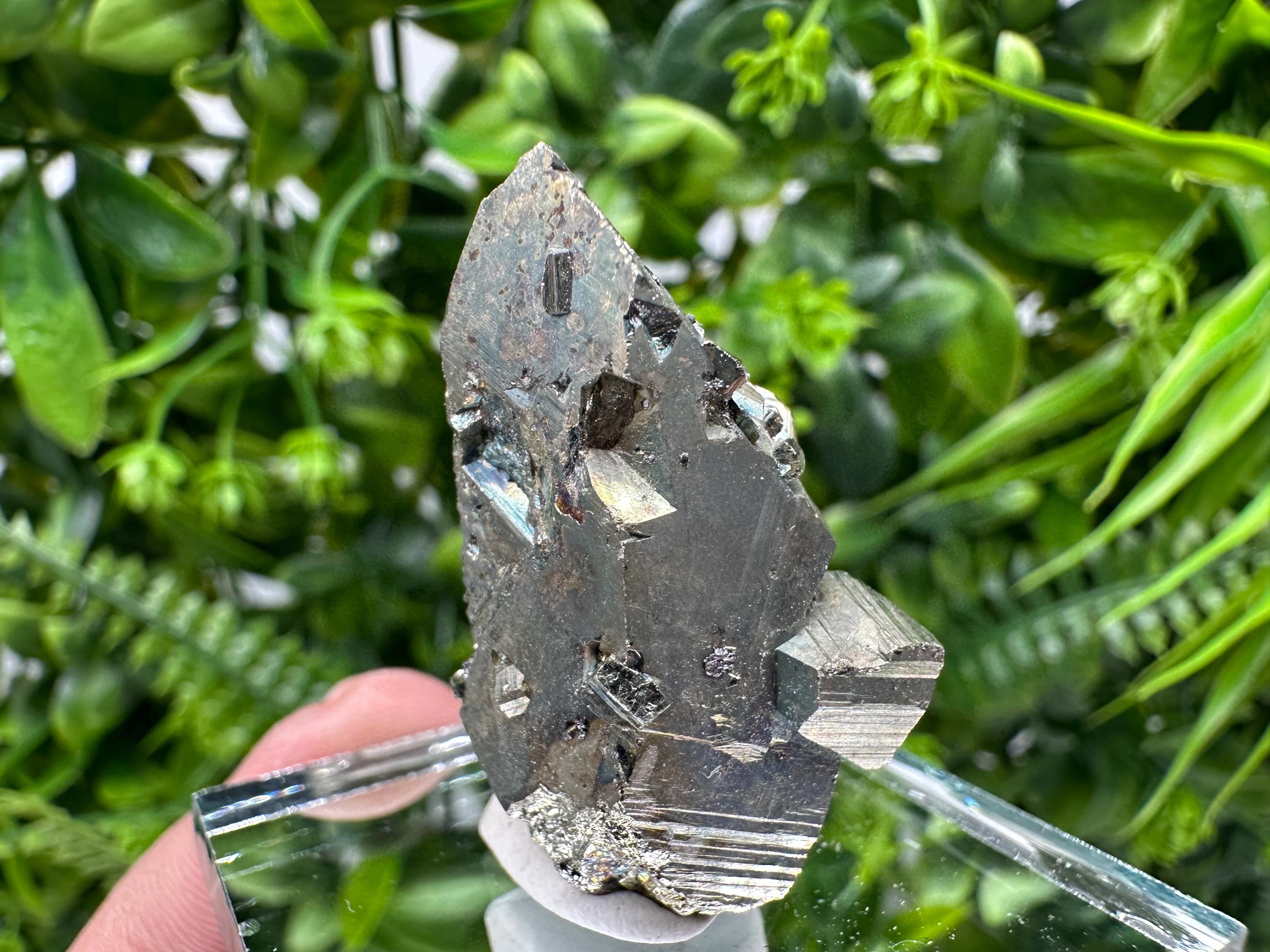 Rare Mini Pyrite Cluster: Borieva Mine, Bulgaria