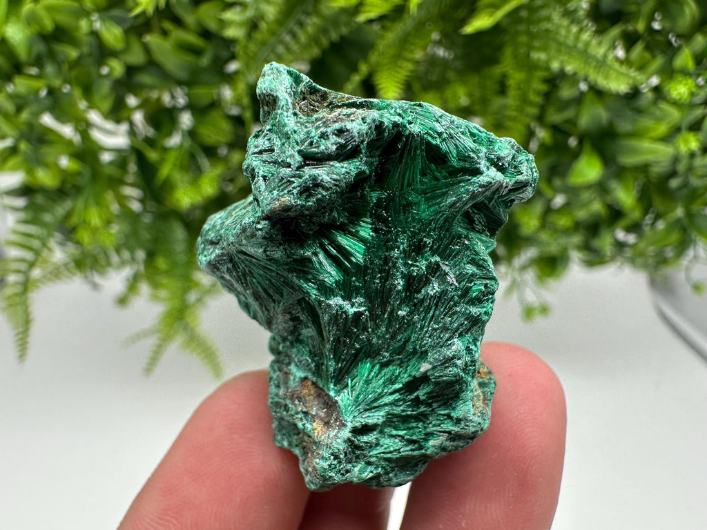 Green Polished Malachite Crystal Specimen from Congo