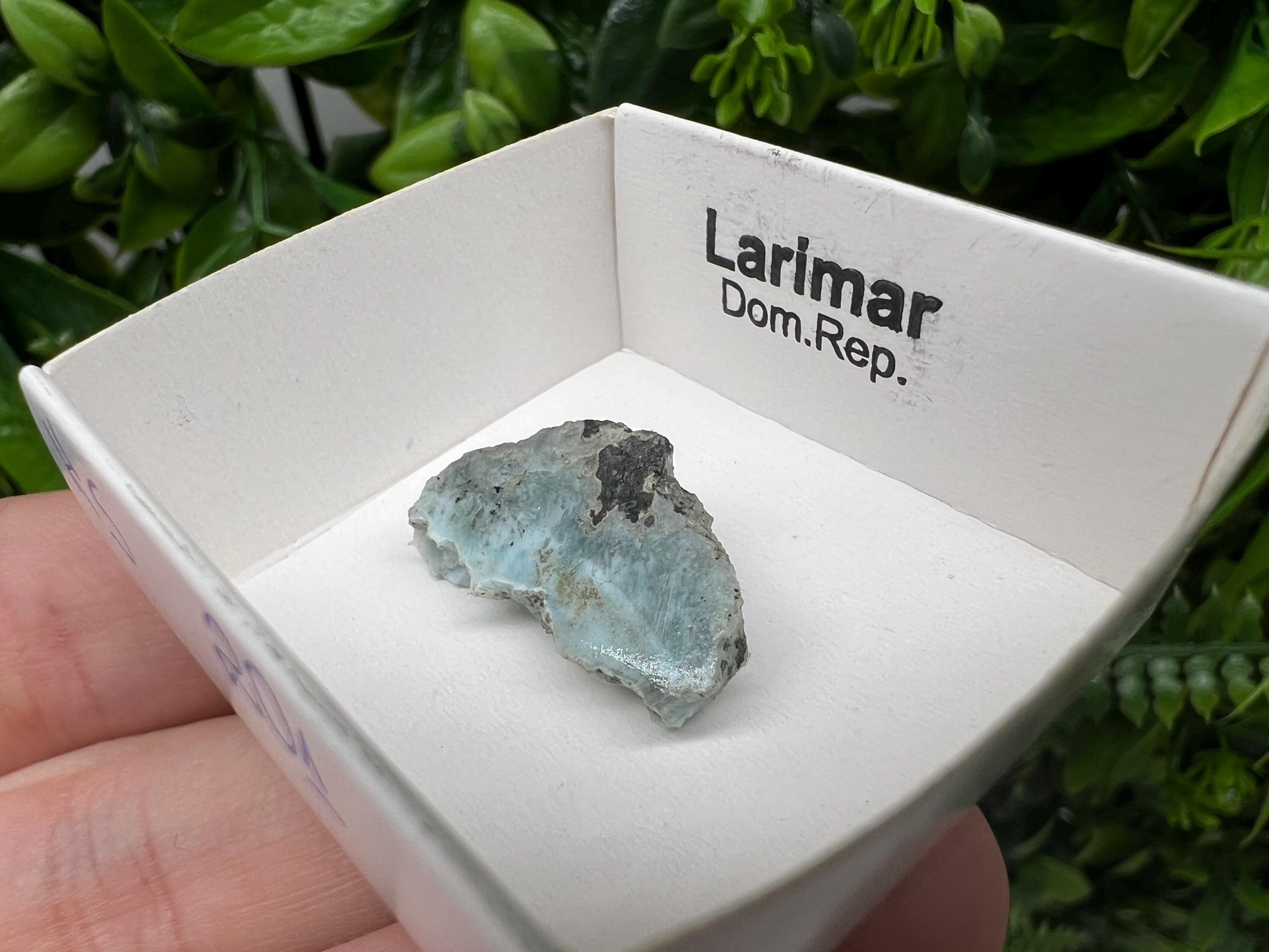 Rare Raw Larimar Specimen: Dominican Republic Mineral Collection (23/15mm