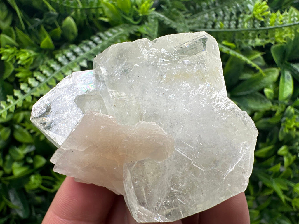Apophyllite with Stilbite, India Mineral Specimen, Rare Crystal
