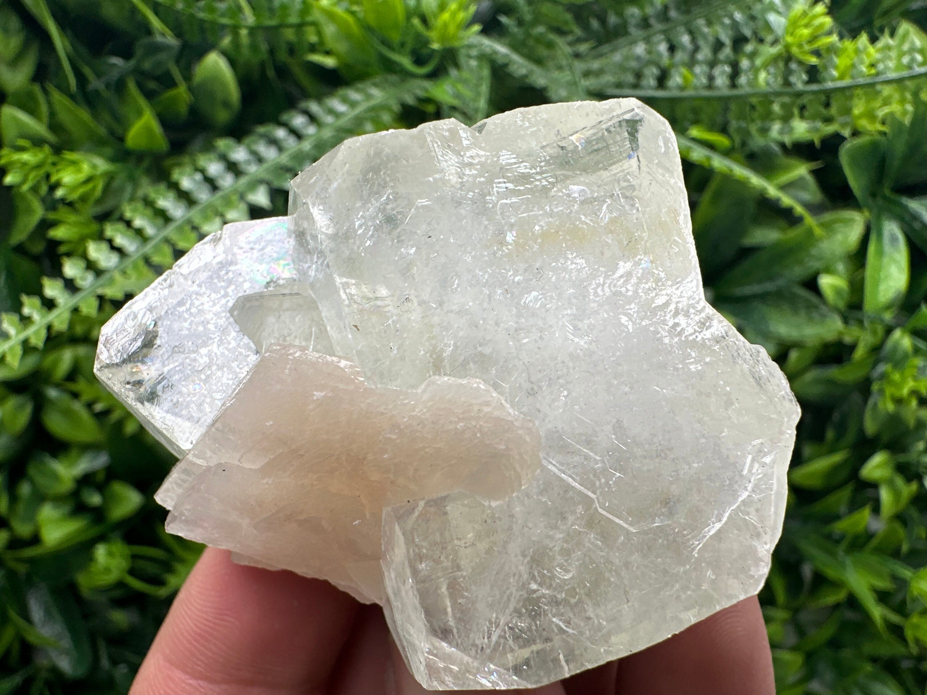 Apophyllite with Stilbite, India Mineral Specimen, Rare Crystal