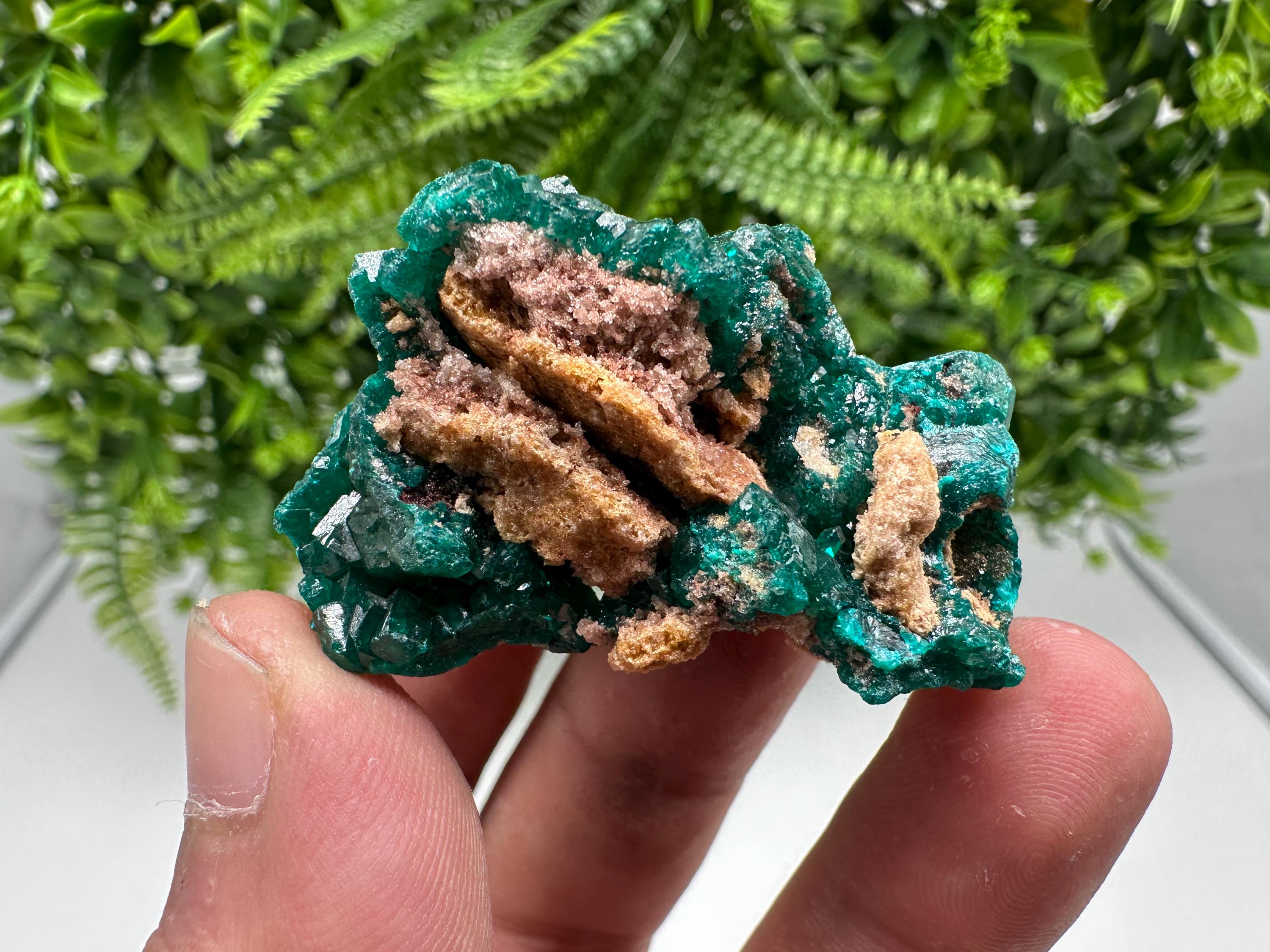 Stunning Green Dioptase from Sanda Hills,Mindouli,Pool Department,Mindouli District,Congo,green Dioptase,Dioptas Crystal,Dioptase collecting