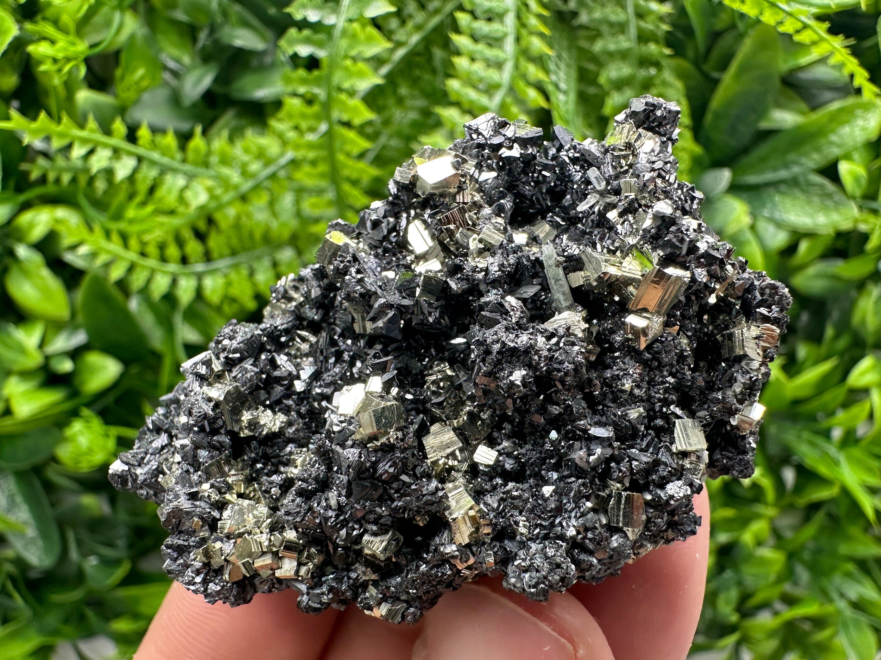 Golden Pyrite with Sphalerite, Borieva Mine Mineral Specimen