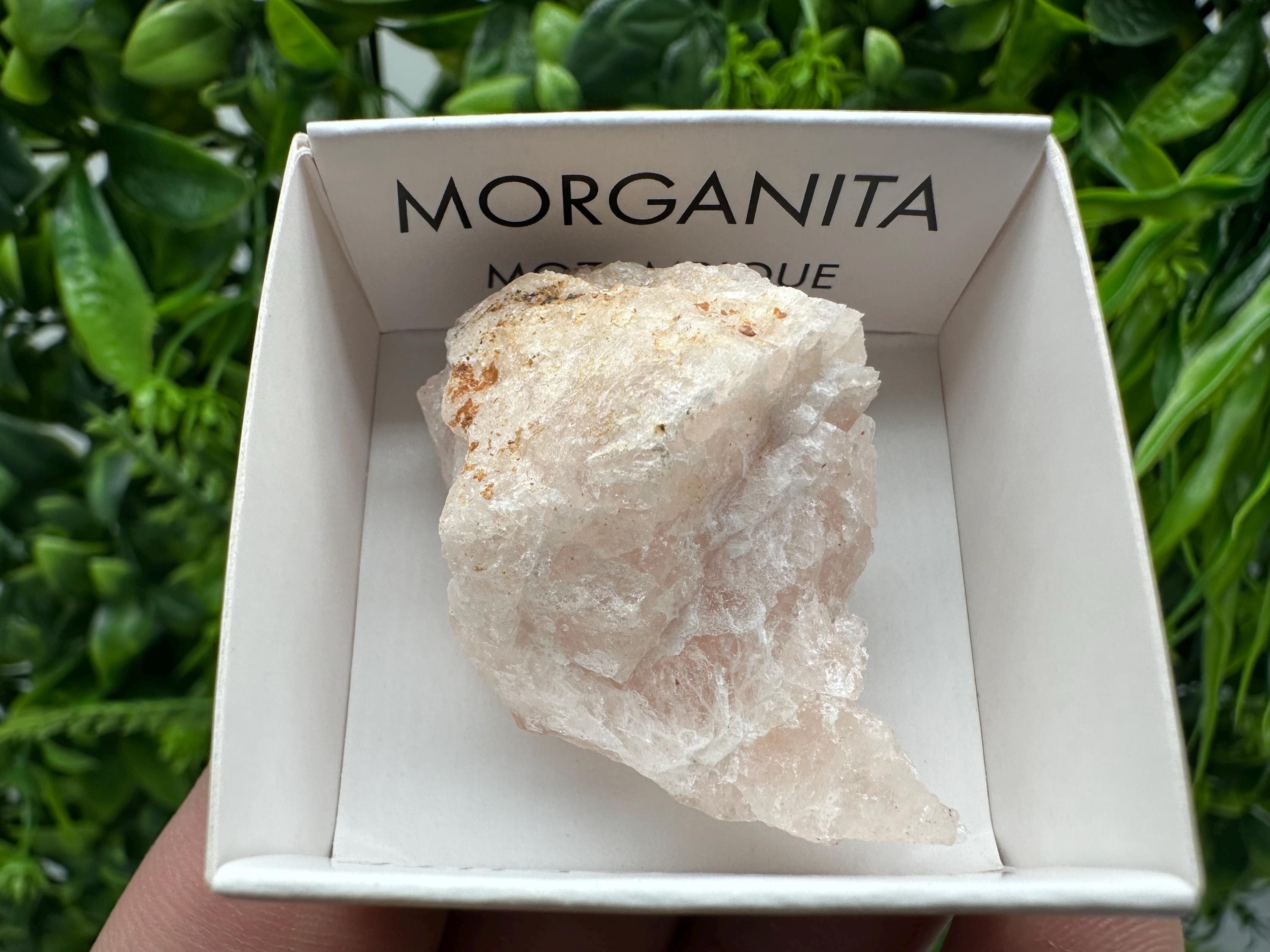 Rare Raw Morganite Specimen: Mozambique Crystal Collection (3/3.5cm)