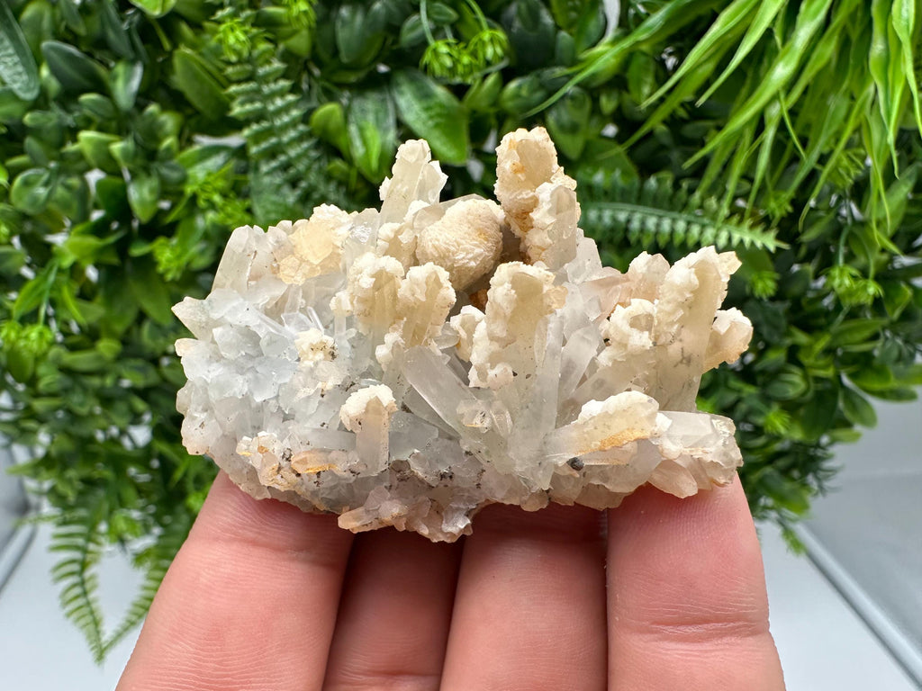 Calcite on Green Quartz: Djurcovo Mine, Bulgaria - Healing Crystal