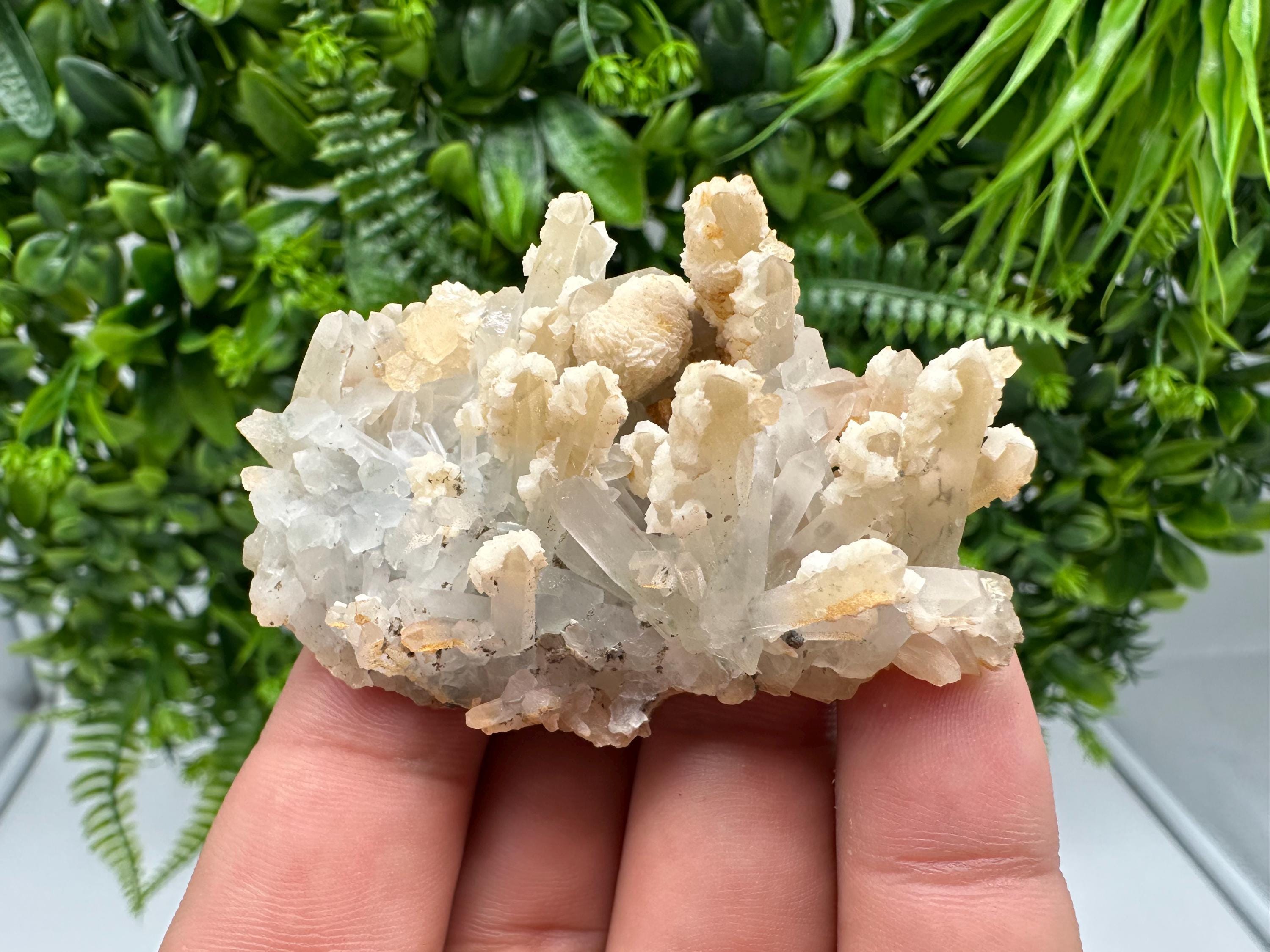 Calcite on Green Quartz: Djurcovo Mine, Bulgaria - Healing Crystal
