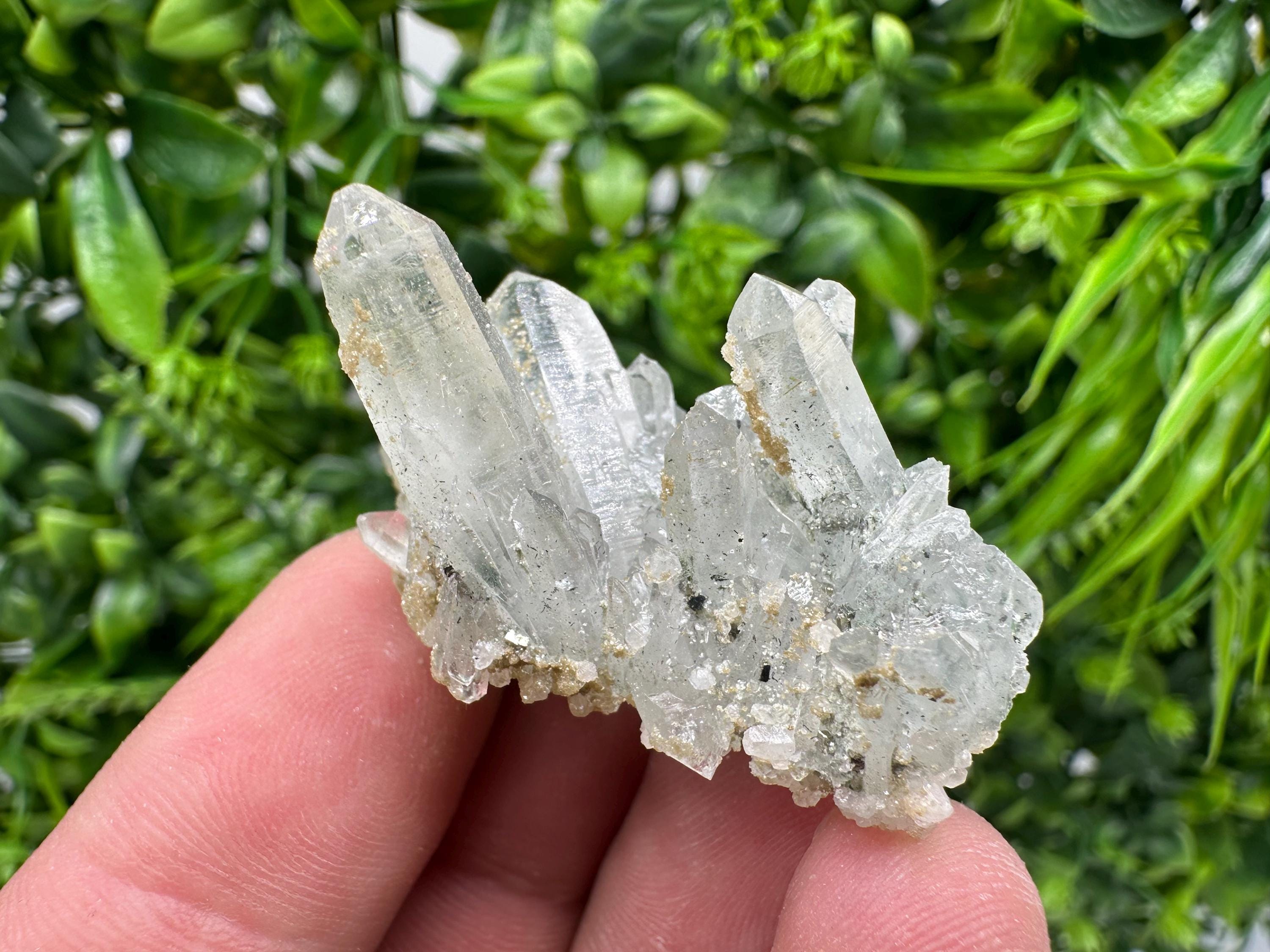 Quartz Rhodochrosite Cluster, Djurcovo Mine Mineral Specimen