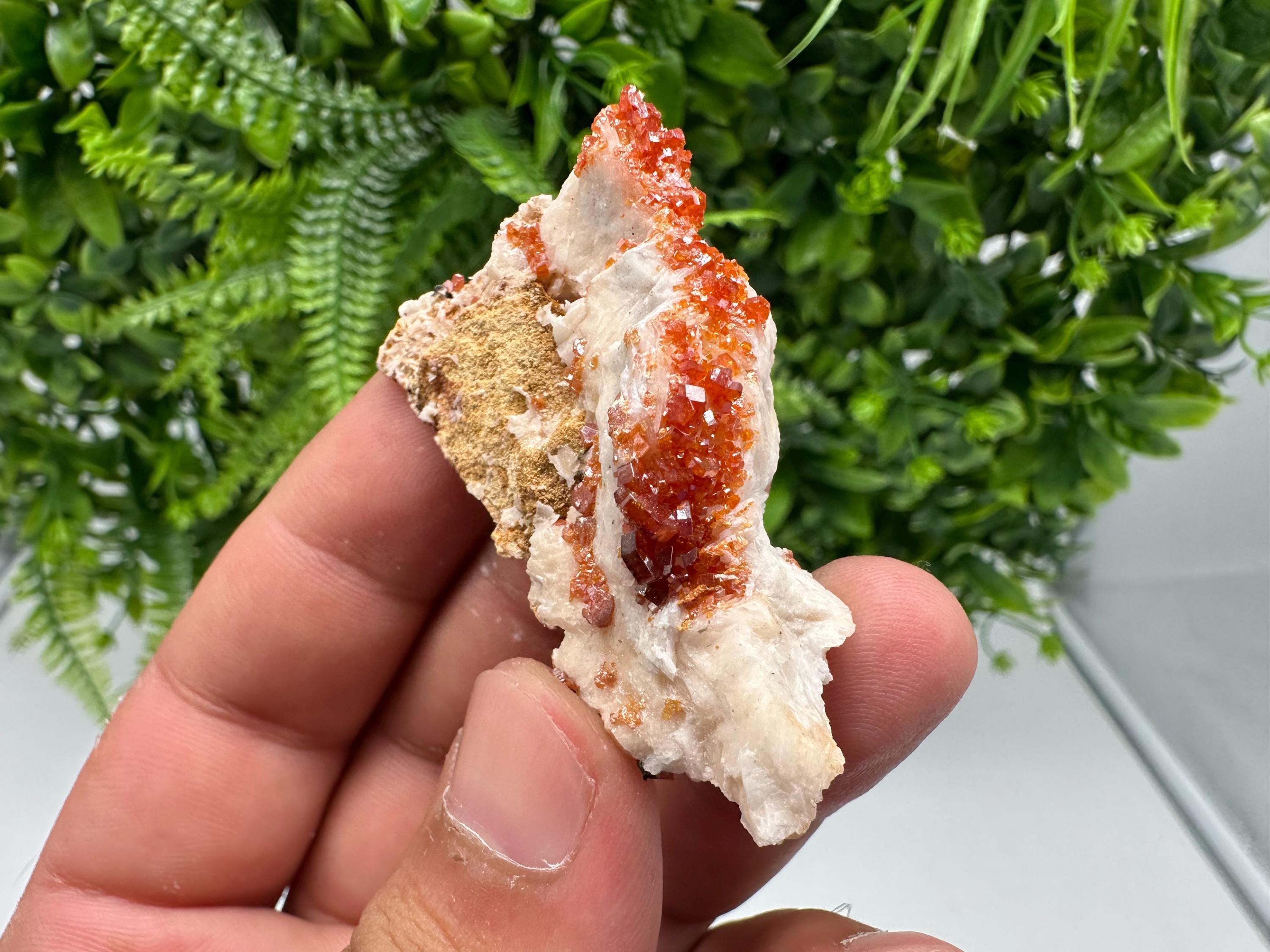 Red Vanadinite on Barite from Marocco,crystal minerals Speciment cluster Vanadinite crystal Vanadinite Geology Vanadinite cluster minerals