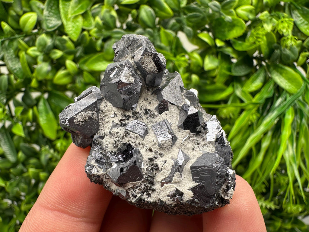 Stunning Shpinel Galena on Sphalerite from Borieva mine,Madan,Bulgaria,Natural,collectible mineral specimen,home decor,collectible’s crystal