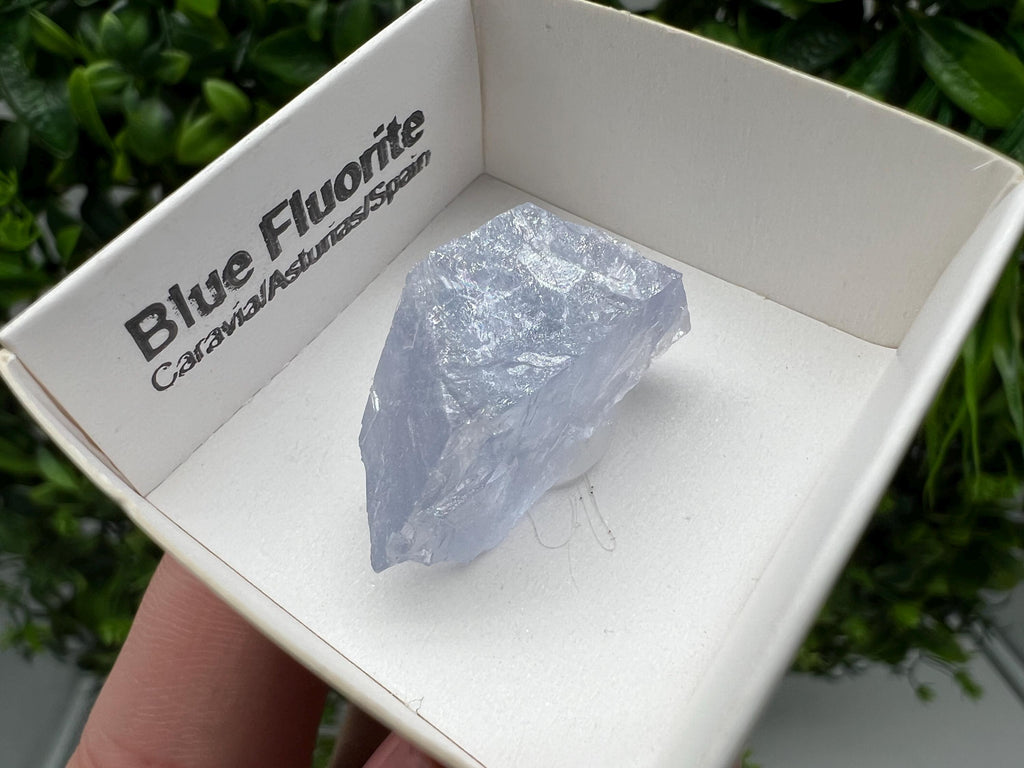 Blue Fluorite Mineral Specimen: Spanish Crystal Collection (2.5/1.5 cm)