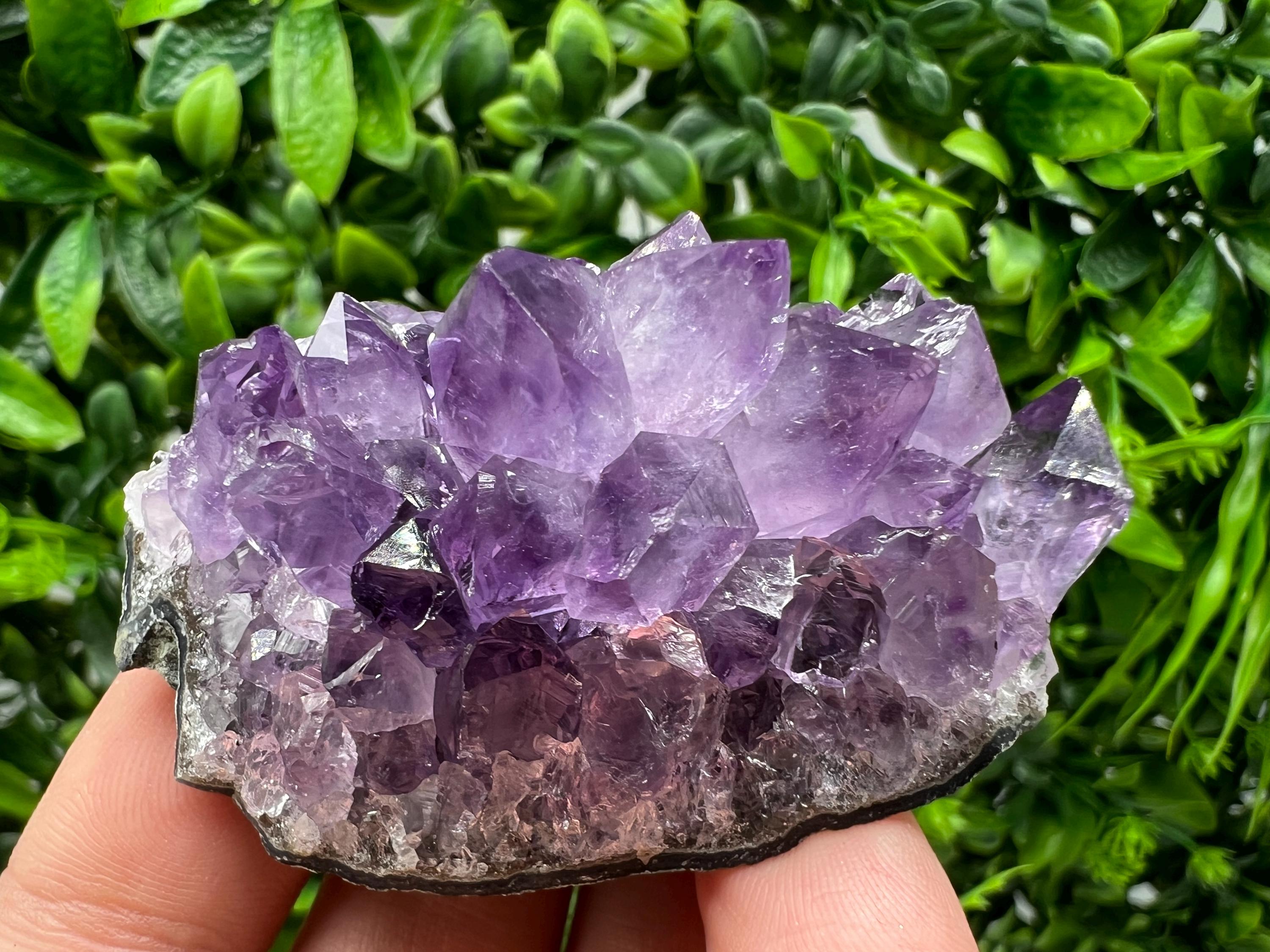Uruguay Amethyst Crystal: Purple Quartz Phantom - Home Decor