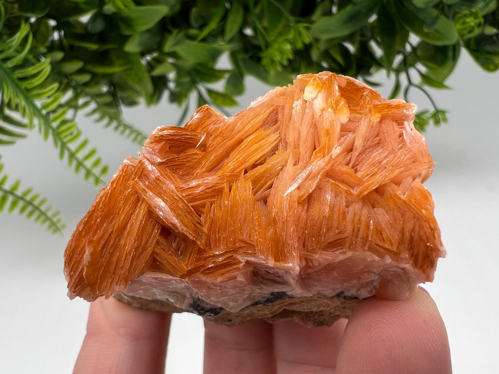 Wonderful Baryte with Cerussite on Galena from Morocco,Crystal, Mineral,Specimen,Cluster,Crystals,Barite Crystal,Cerussite Crystal,Specimen