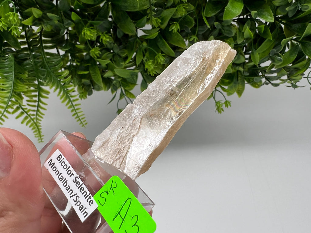 Golden Phantom Selenite Slab: Utah Raw Fishtail Selenite Wand