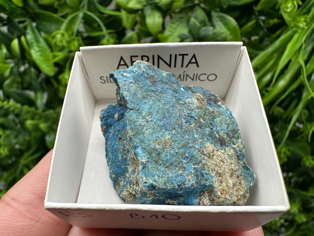 Rare Raw Aerinite Mineral Specimen: Lleida, Spain Crystal