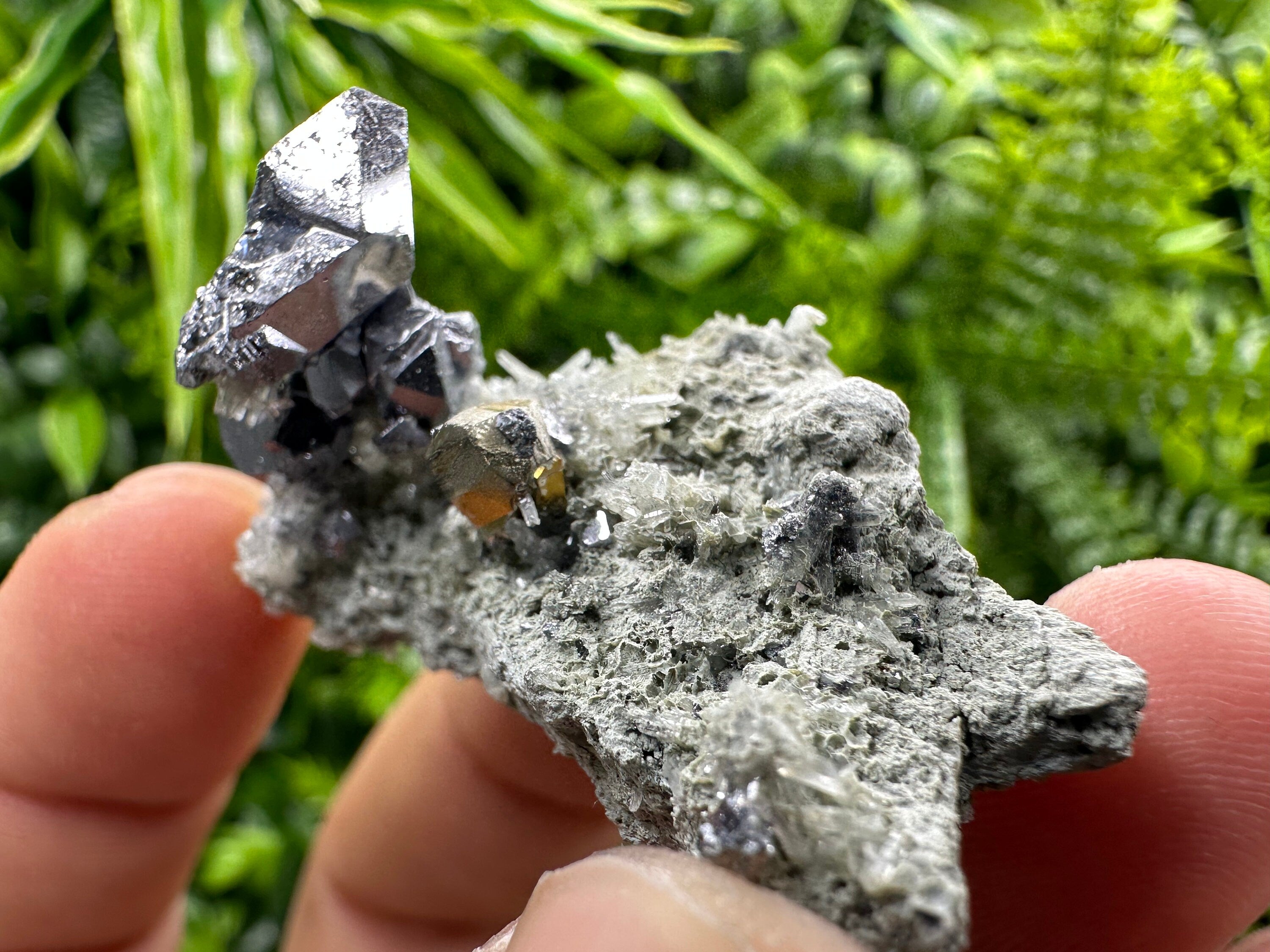 Spinel Law Galena on Quartz with Chalcopyrite: Borieva Mine Minerals