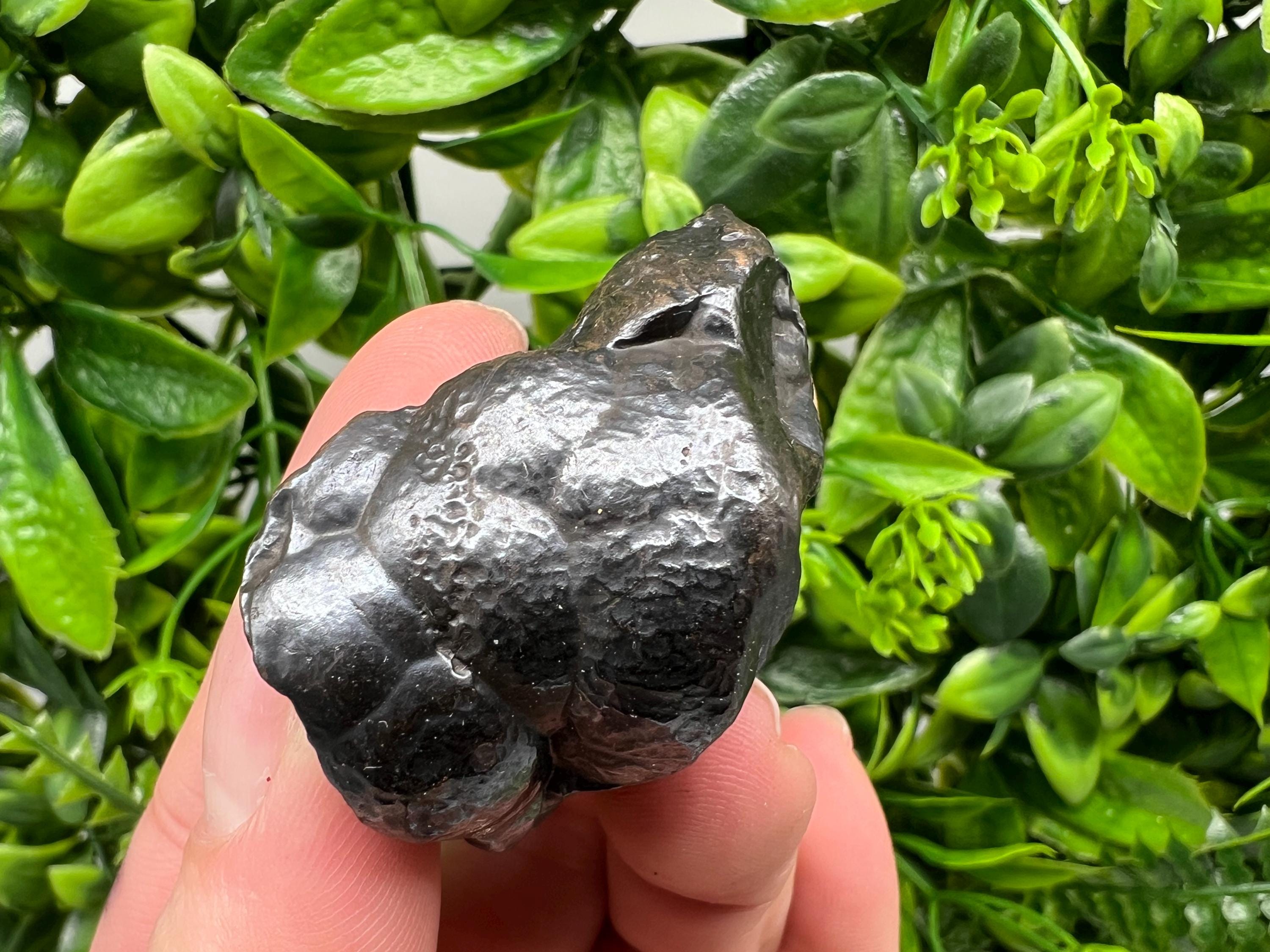 Moroccan Black Botryoidal Hematite Specimen: Chakra Reiki Crystal