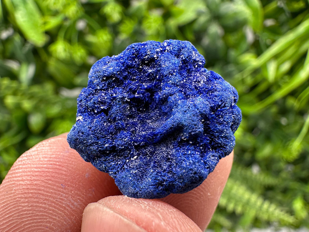 Crystallized Azurite-Kerrouchen,Morocco-Blue Azurite Specimen-High Quality Blue Azurite-Azurite Mineral Specimen, gemmy,lustrous of Azurite