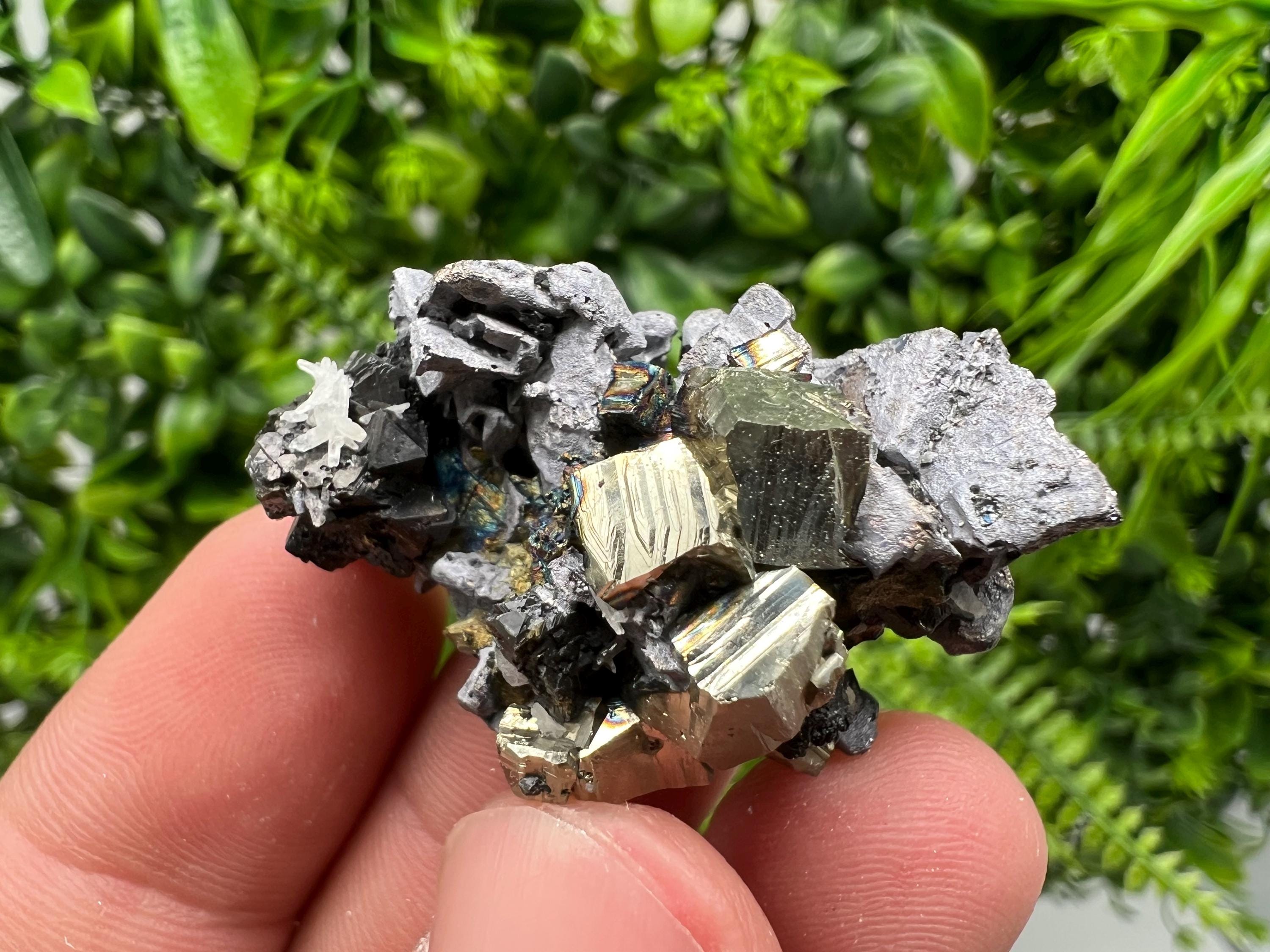 Pyrite Cluster, Galena, Sphalerite Mineral Specimen, Bulgaria Decor Crystal