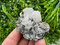 Pyrite on Green Quartz, Borieva Mine Mineral Specimen