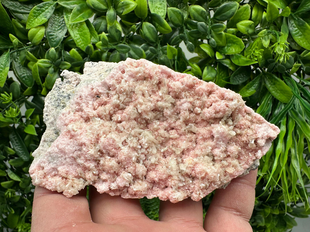 Rhodochrosite on Quartz: Pink Mineral Specimen, Starnica Mine