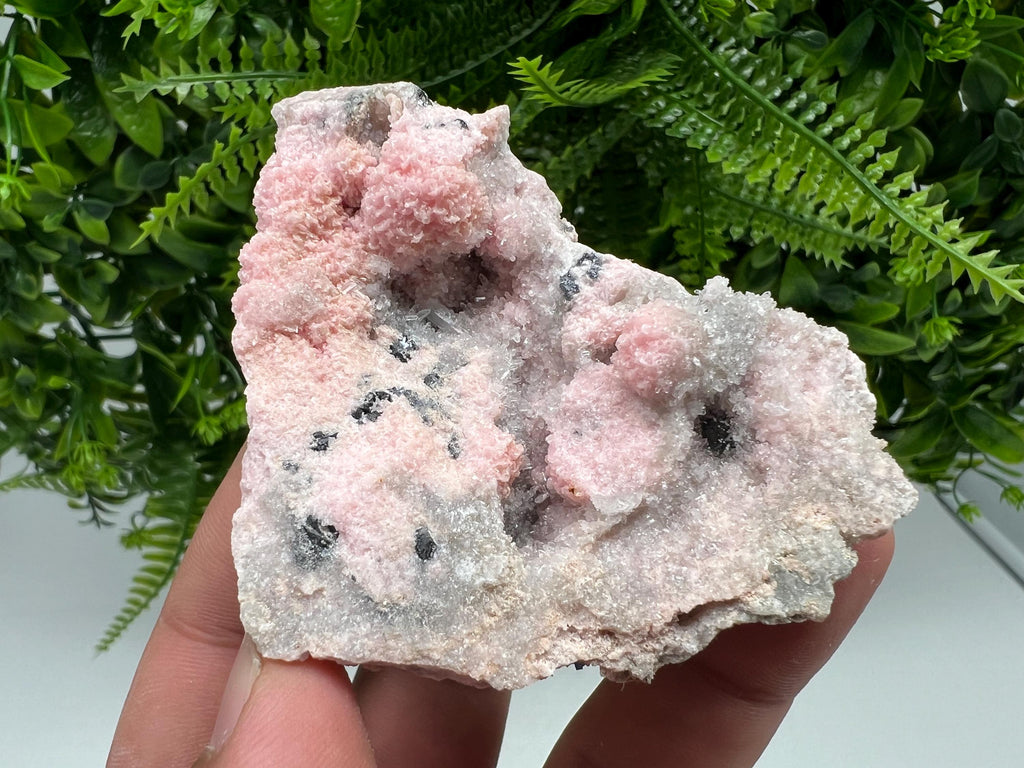 Rare Rhodochrosite with Calcite, Starnica Mine, Bulgaria