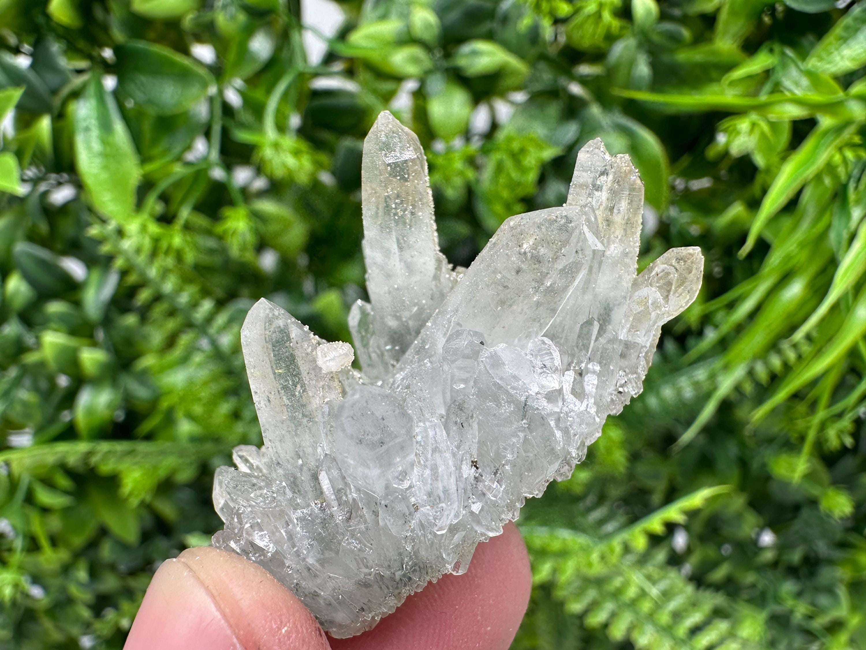 Quartz Rhodochrosite Cluster, Djurcovo Mine Mineral Specimen