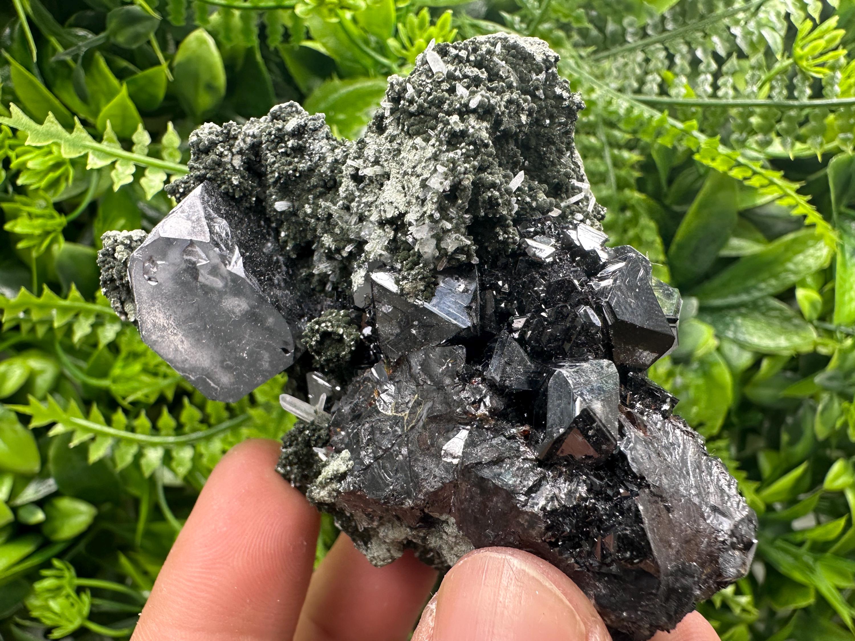 Galena with Black Sphalerite: Natural Minerals Souvenir, Borieva Bulgaria