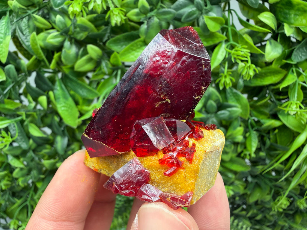 XXL Laboratory Pruskite Ruby Crystal on Matrix
