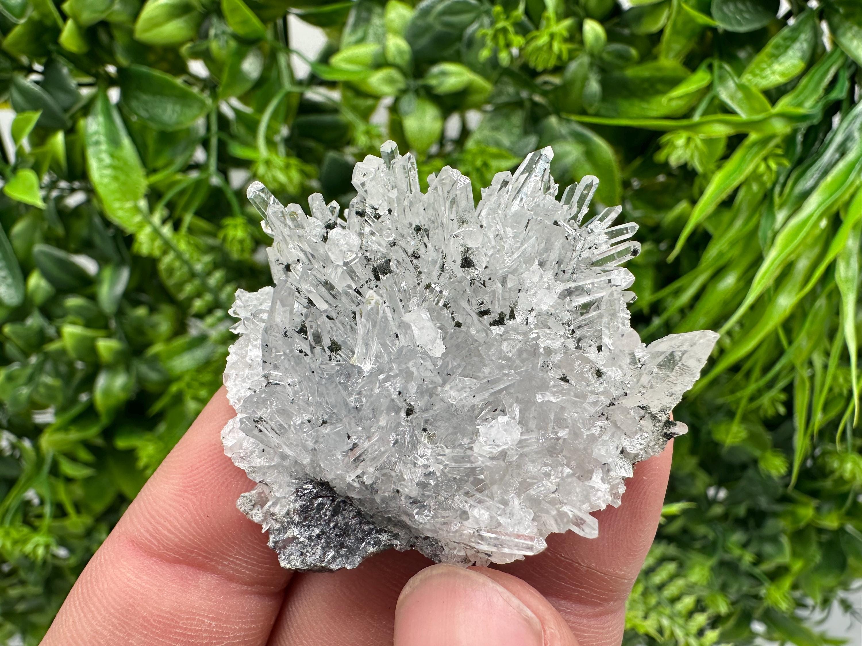 Chlorite Quartz Crystal Cluster - Borieva Mine, Bulgaria