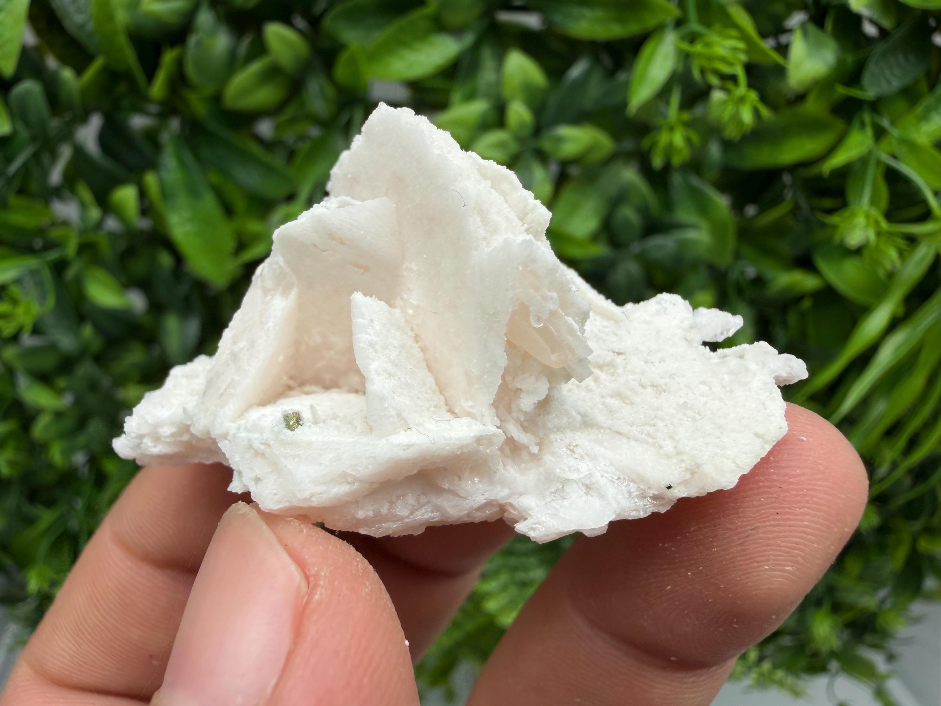 Mangano Calcite with Galena, Borieva Mine, Bulgaria
