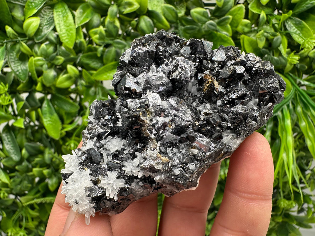 Wonderful Sphalerite on Quartz,From Borieva mine,Bulgaria,natural mineral,collection crystal,home decor stone,rare cluster,gift,souvenir