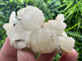 Rare Calcite Cluster, 9th September Mine, Madan Bulgaria