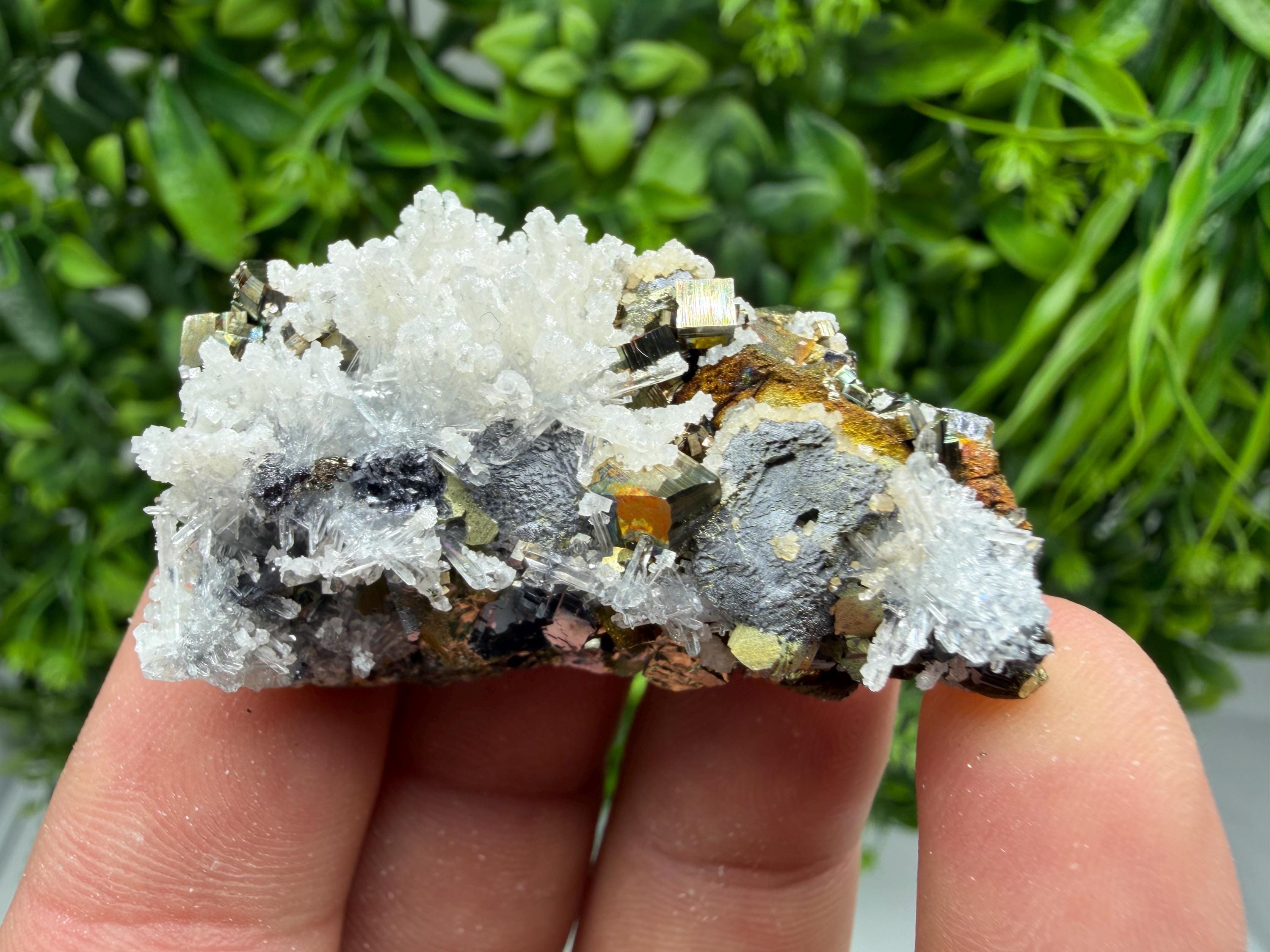 Pyrite Sphalerite Quartz  Mineral Specimen, Krushev dol Mine