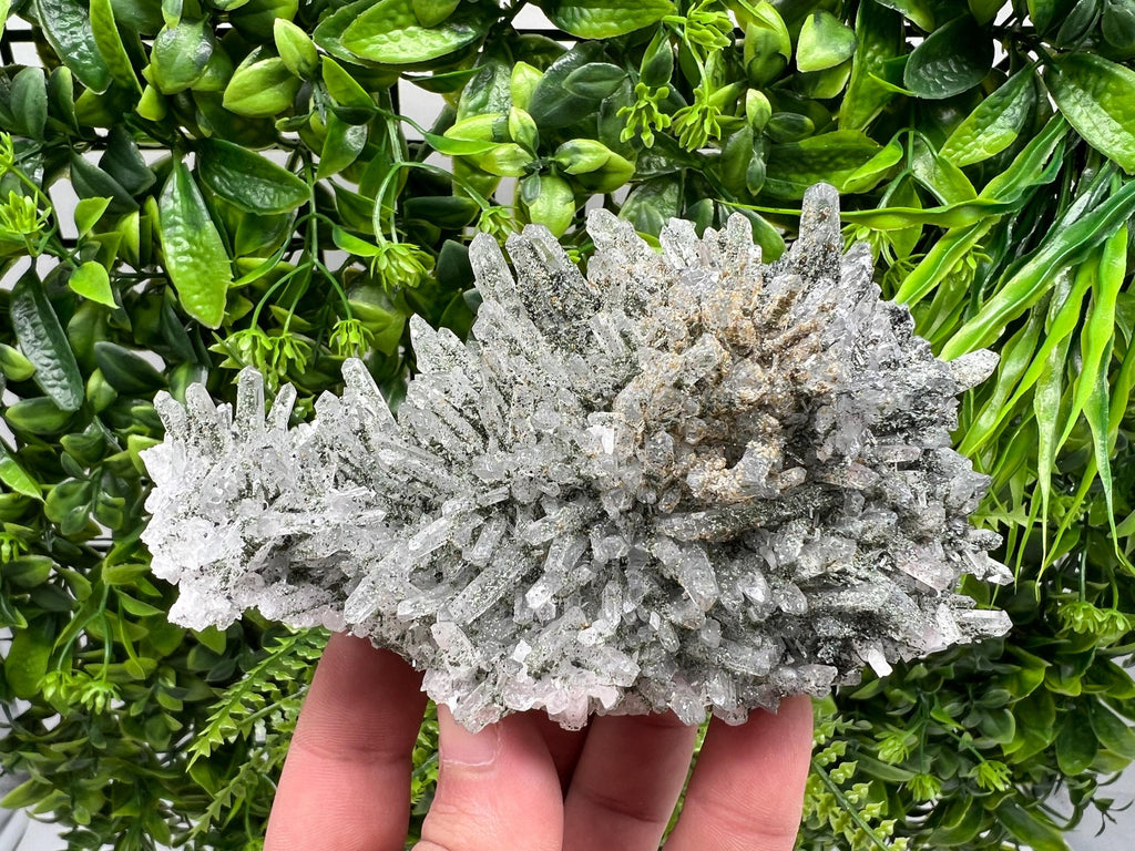 Quartz Rhodochrosite Cluster, Djurcovo Mine Mineral Specimen