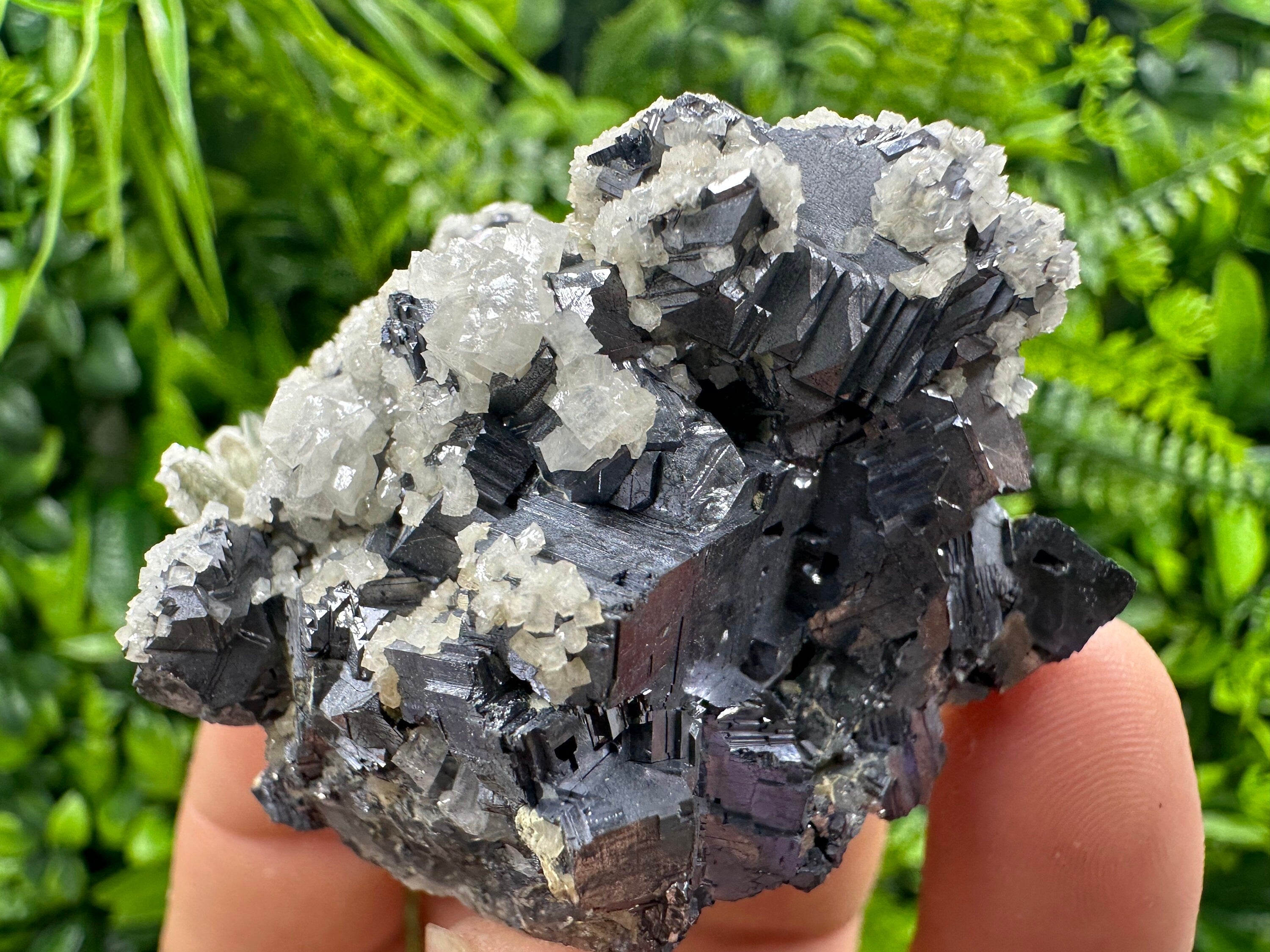 Rare Calcite on Galena: Borieva Mine, Madan, Bulgaria