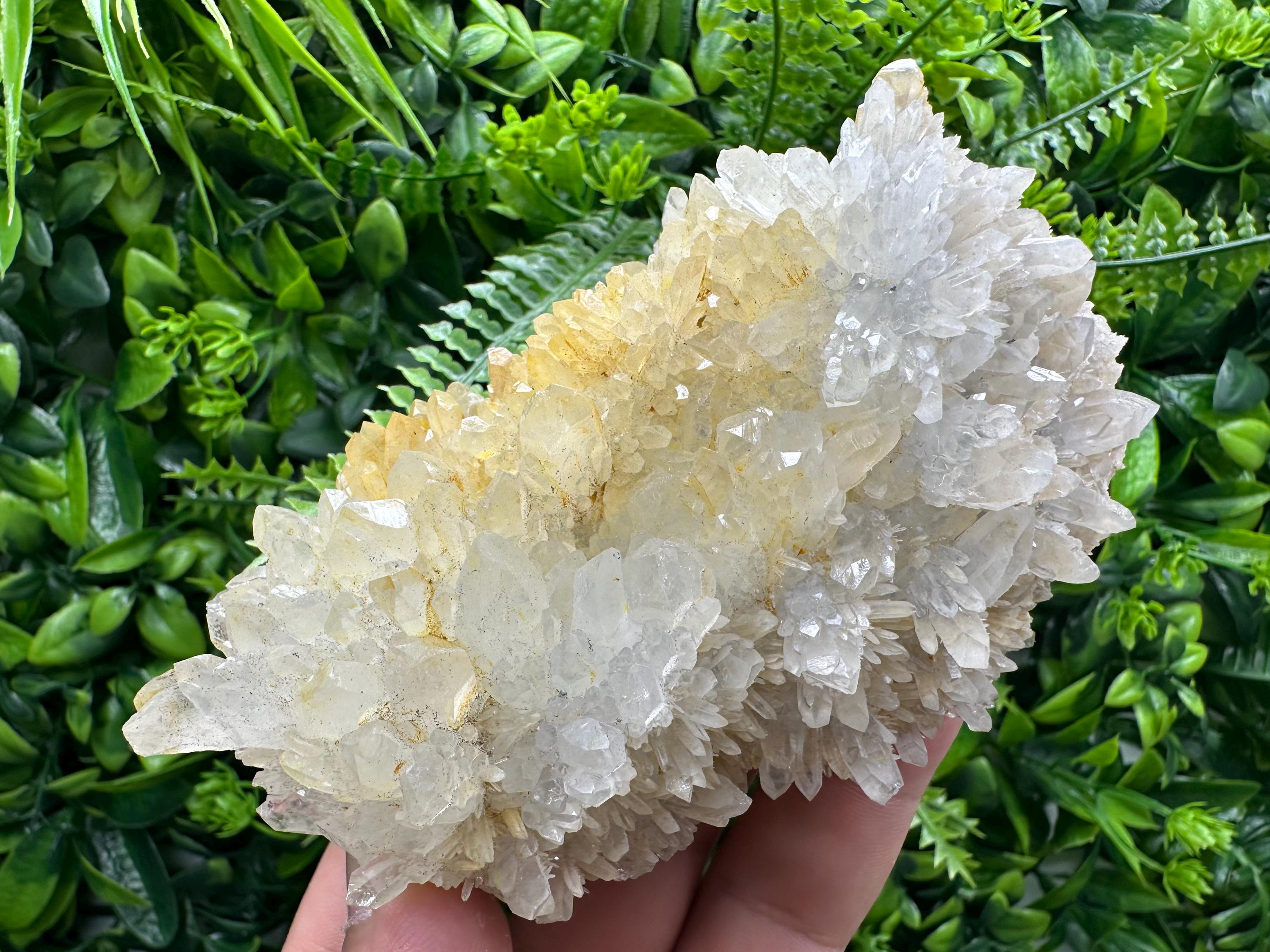 Limonite Quartz Crystal Cluster: Iron Oxide Mineral Specimen