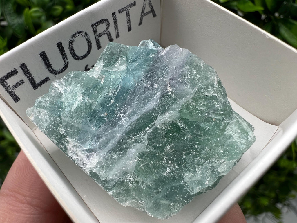 Rare Rainbow Fluorite Cube: Raw Crystal from Mexico, Vintage Meditation Stone