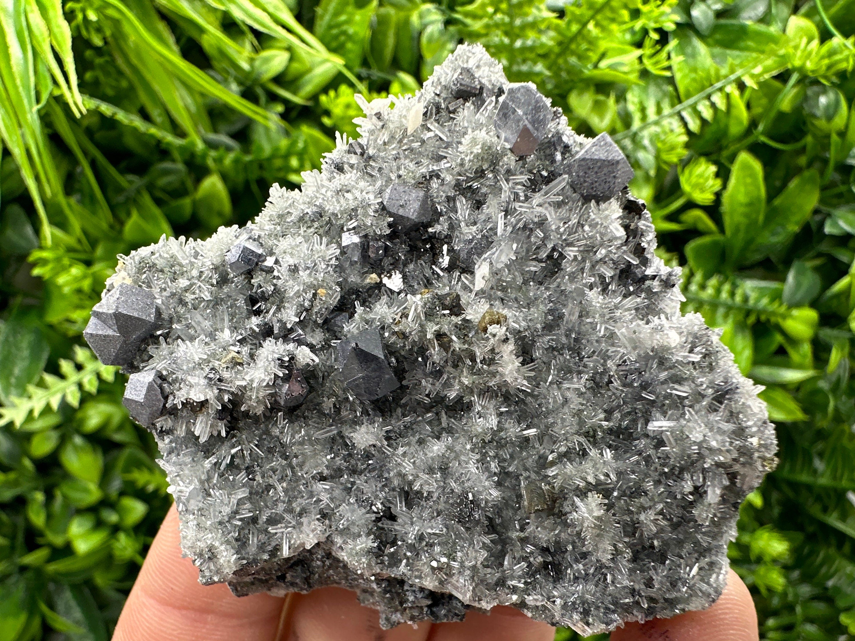 Galena on Quartz with Pyrite: Natural Crystal Home Decor Stone