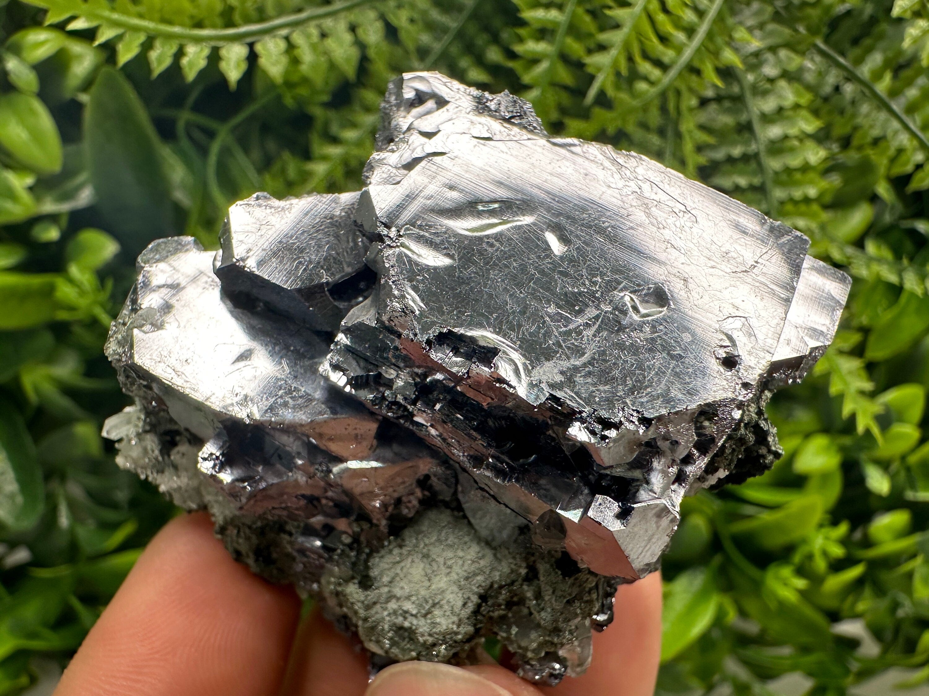 Mirror Galena on Quartz with Chlorite, Borieva Mine, Bulgaria