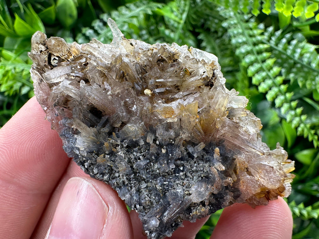 Limonite Coated Quartz Crystal, Natural Mineral Specimen