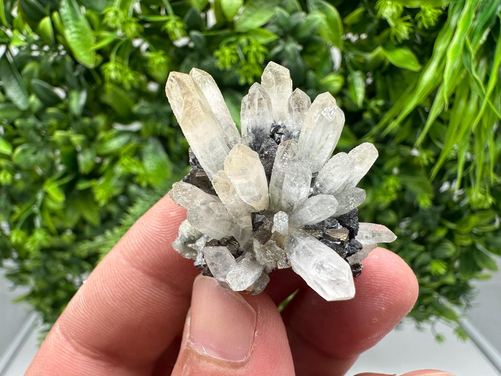 Wonderful Sphalerite Chalcopyrite on Green Quartz whit Hematite feom 9 th September mine,Bulgaria,natural,collection mineral specimen,gift