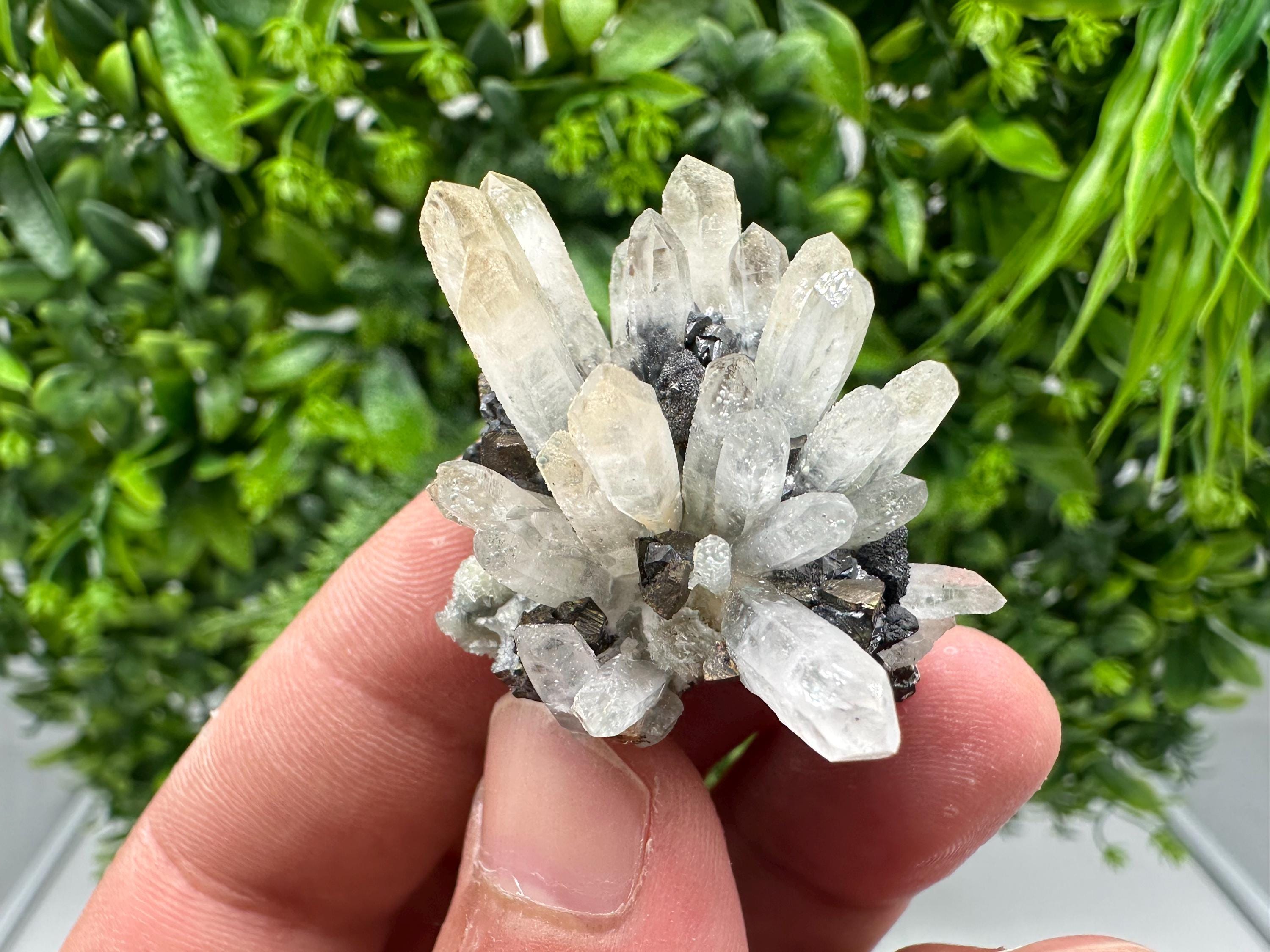 Wonderful Sphalerite Chalcopyrite on Green Quartz whit Hematite feom 9 th September mine,Bulgaria,natural,collection mineral specimen,gift