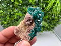 Stunning Green Dioptase from Sanda Hills,Mindouli,Pool Department,Mindouli District,Congo,green Dioptase,Dioptas Crystal,Dioptase collecting