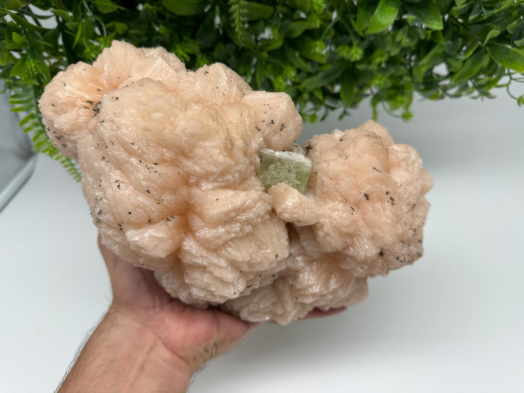 Apophyllite Stilbite on Chalcedony: Natural Mineral Specimen, India