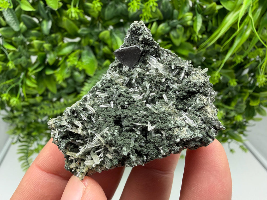 Sphalerite  on Green Quartz: Borieva Mine Crystal Decor