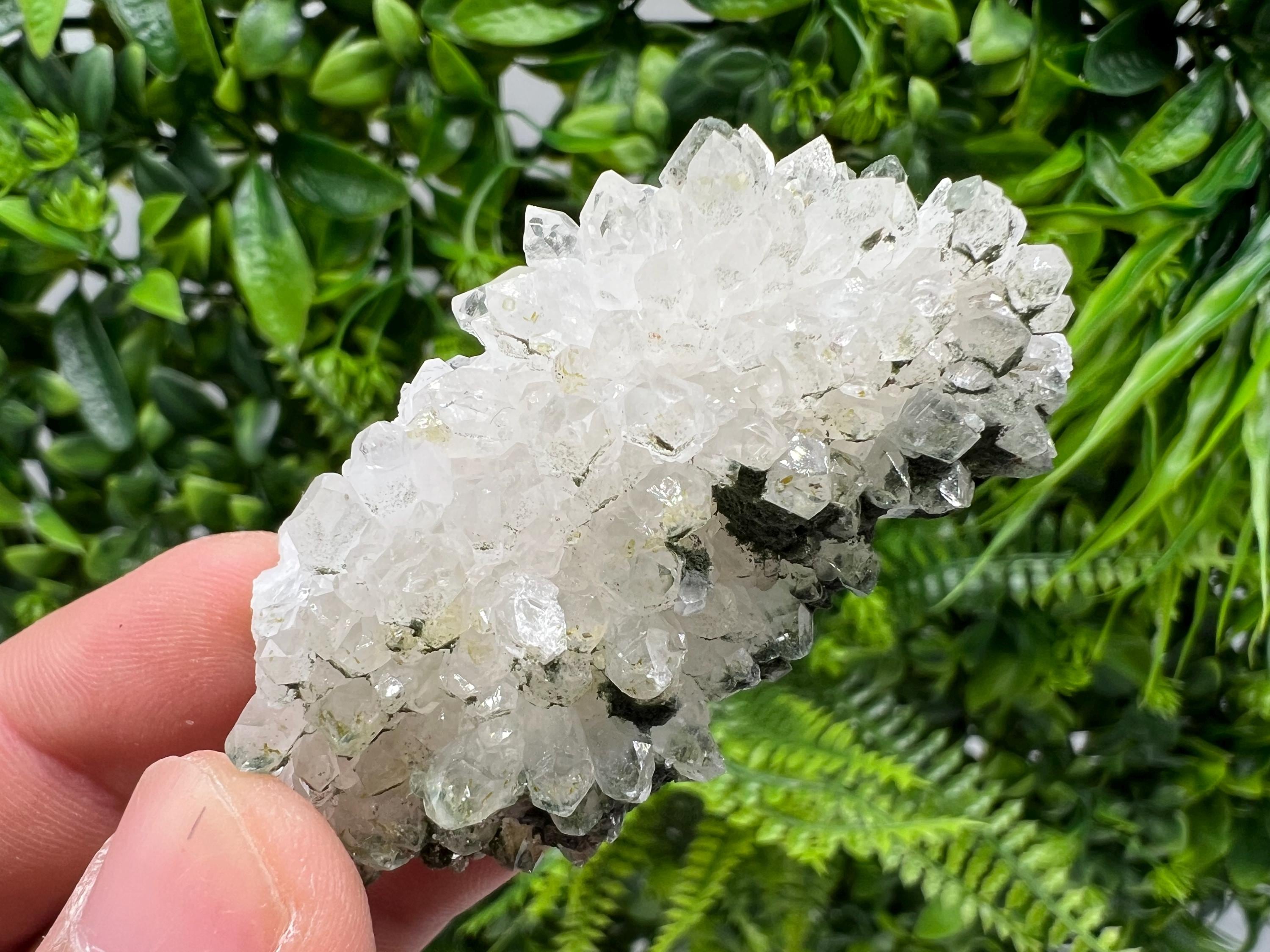 Transparent Quartz on Chlorite Matrix, Borieva Mine Mineral Specimen