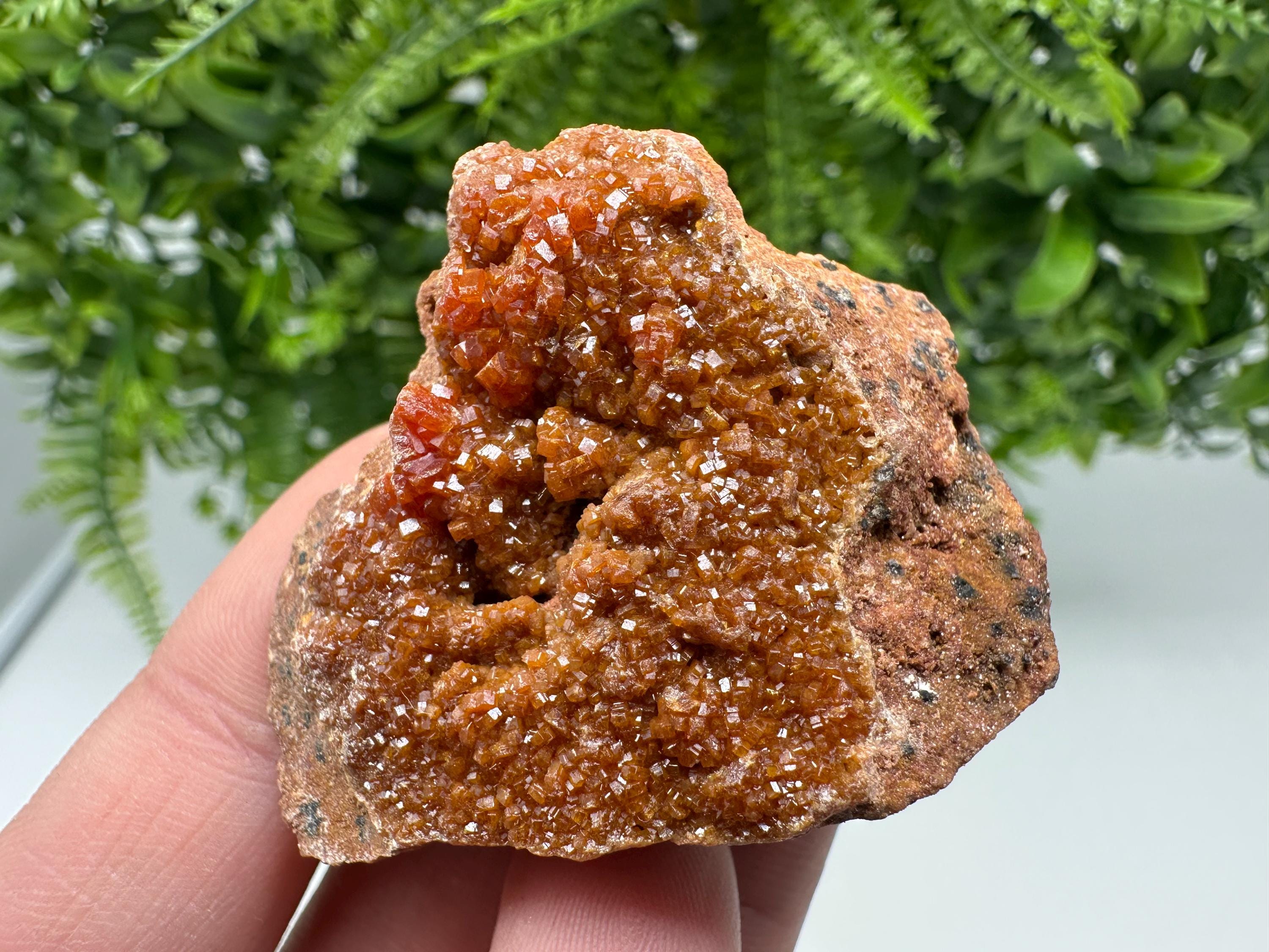 Red Vanadinite on Matrix from Marocco,crystal minerals Speciment cluster Vanadinite crystal Vanadinite Geology Vanadinite cluster minerals