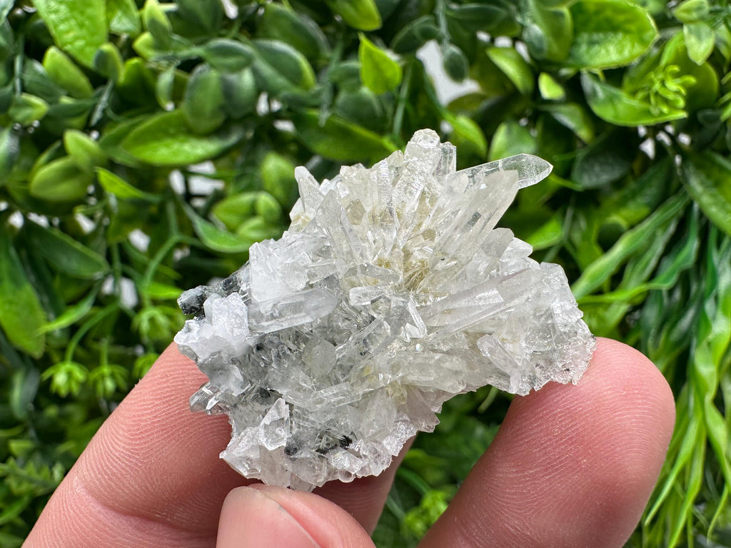 Transparent Quartz on Chlorite Matrix, Borieva Mine Mineral Specimen